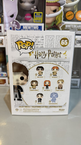  Harry Potter #65 - Produto Original