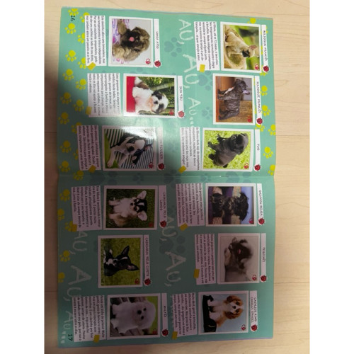  Caes E Gatos # - Produto Original